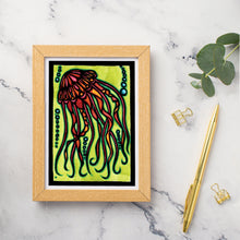 Load image into Gallery viewer, SA100: Jellyfish - Pack of 6
