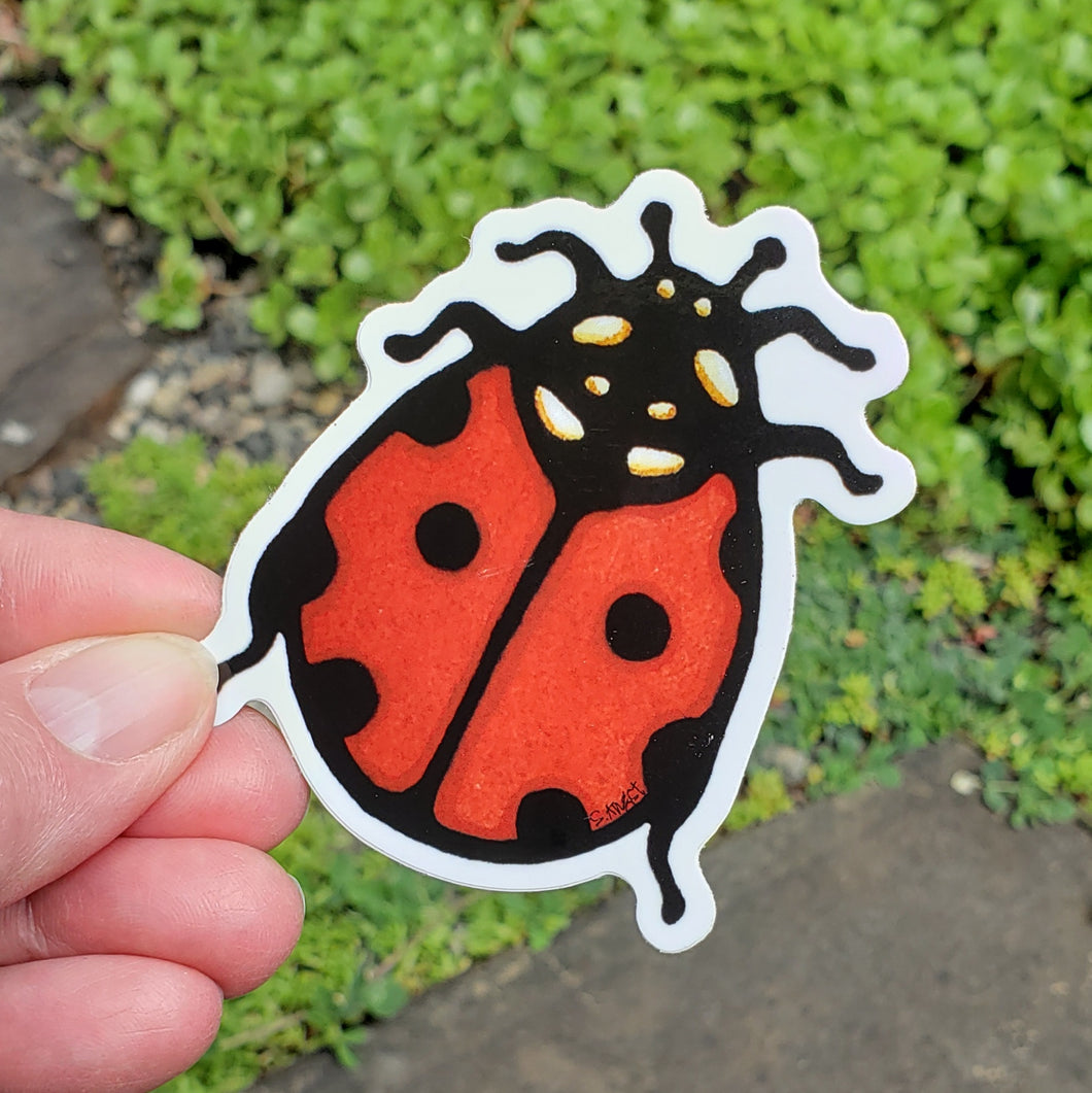 ST427: Ladybug Sticker - Pack of 12