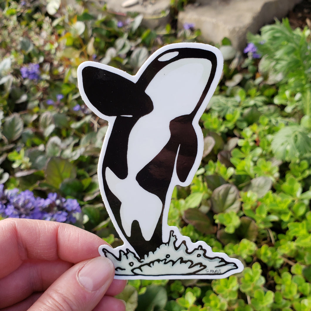 ST266: Orca Sticker - Pack of 12